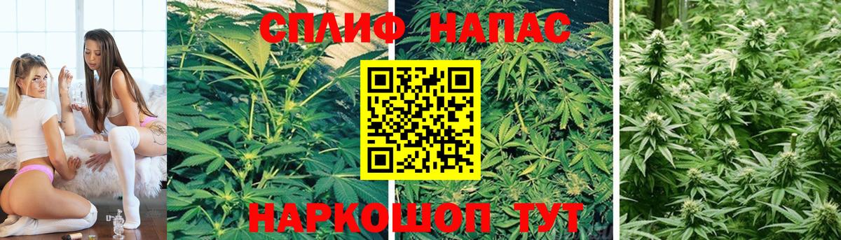 МАРИХУАНА конопля  Каннабис VHQ  Вход с VPN  Димитровград  Марихуана OG Kush  Марихуана Ganja 